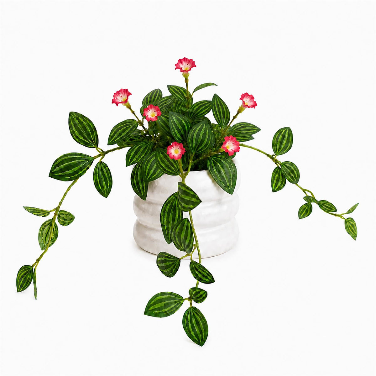 Faux Trailing Variegated Leaf Plant with Flowers, 45cm in White Pot