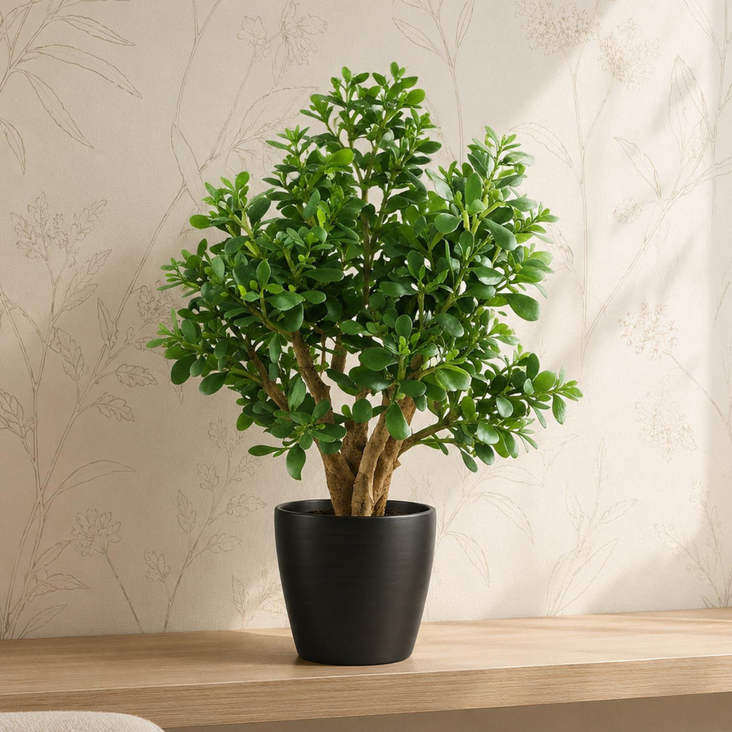 70cm Artificial Deluxe Jade Plant - Premium Quality (image 4 of 4)