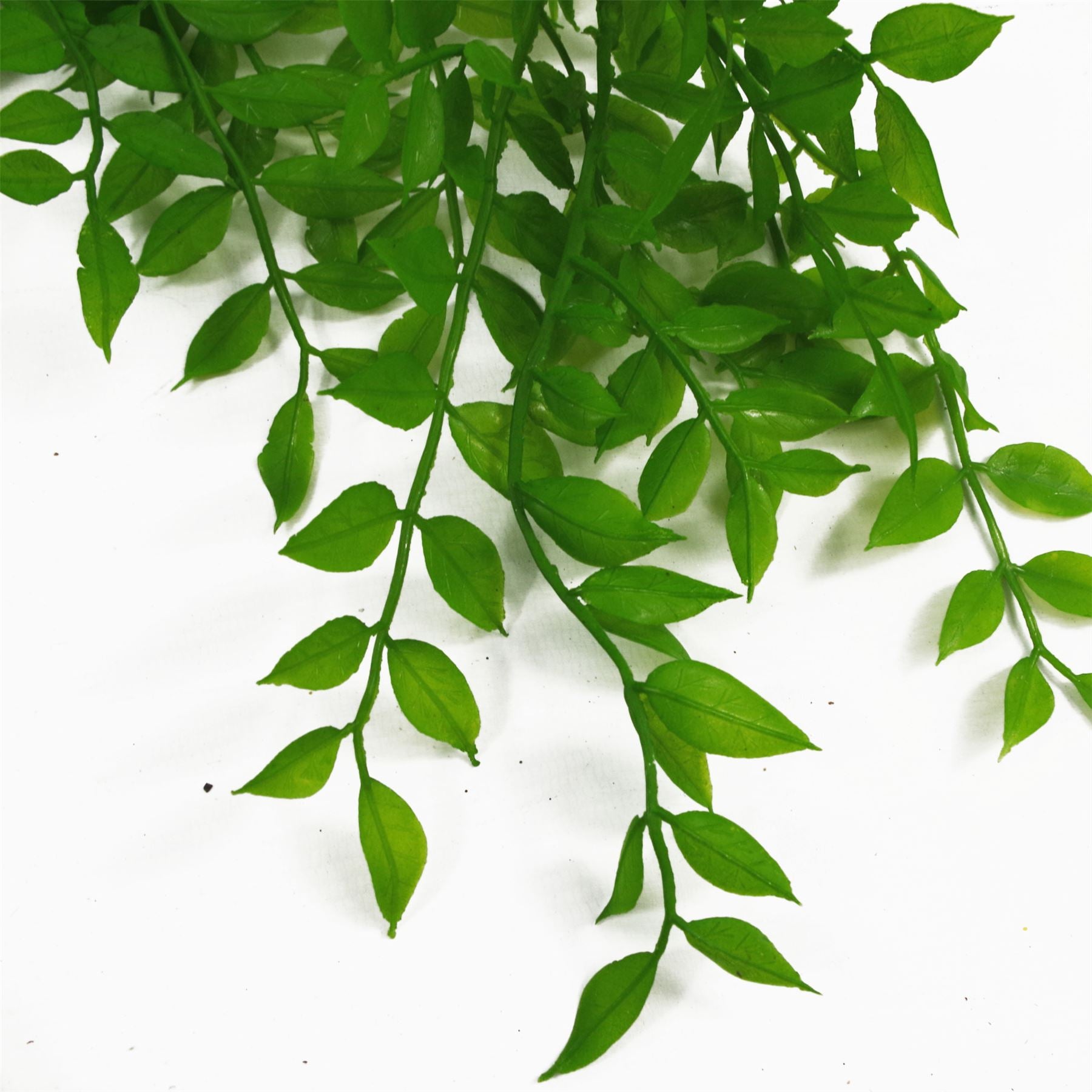 100cm Artificial Hanging String of Pearls Fern Plant