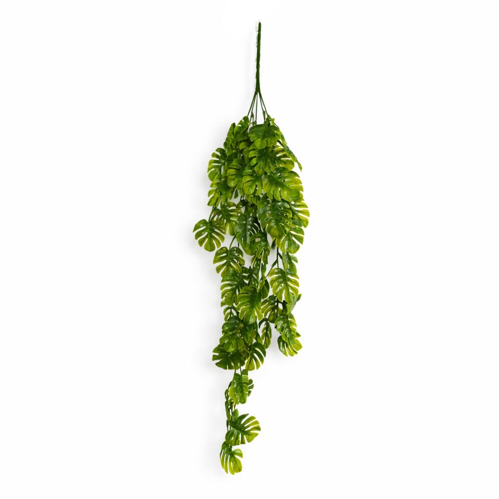 70cm Artificial Hanging Mini Monstera Botanik Plant - Premium Quality