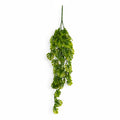 70cm Artificial Hanging Mini Monstera Botanik Plant - Premium Quality