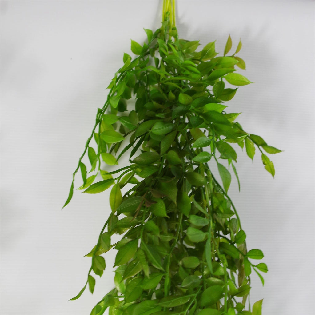 100cm Artificial Hanging String of Pearls Fern Plant