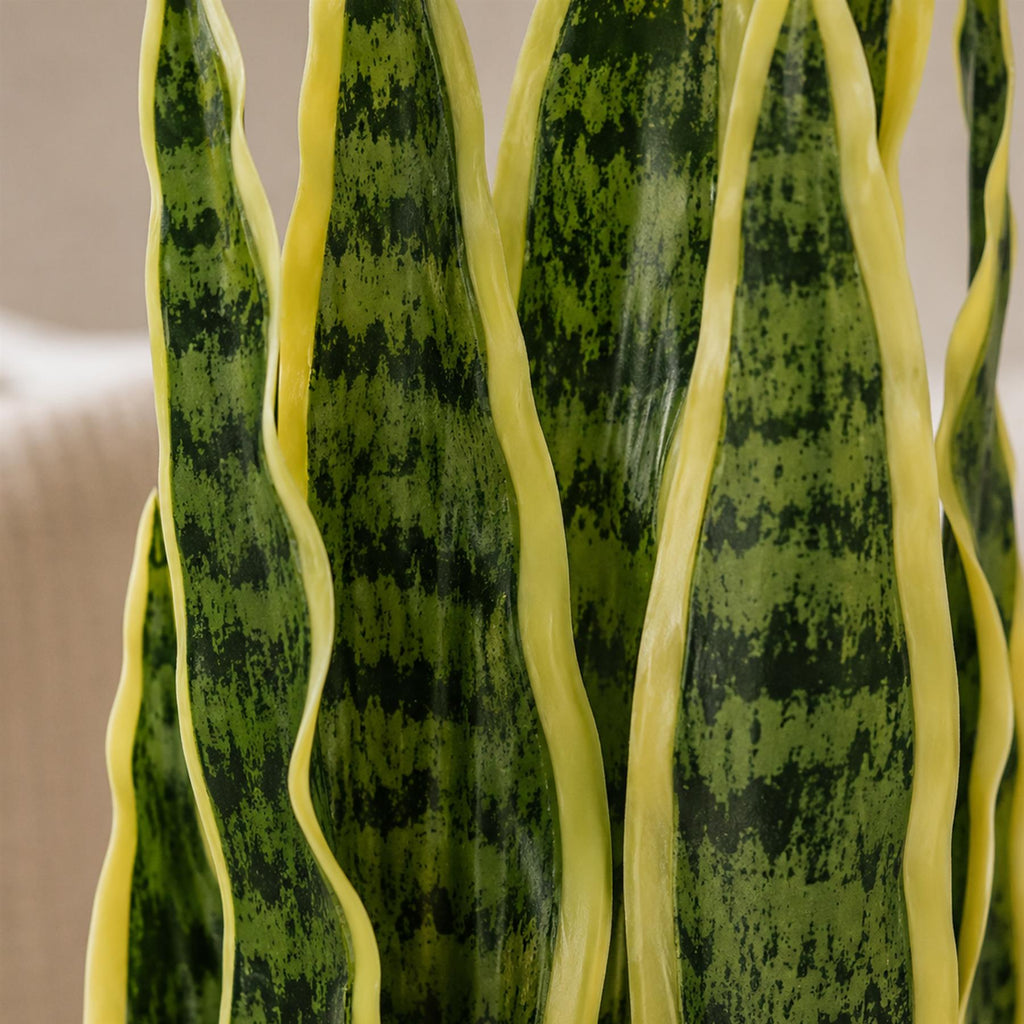 55cm Artificial Sansevieria Yellow Green Indoor Plant (image 4 of 4)