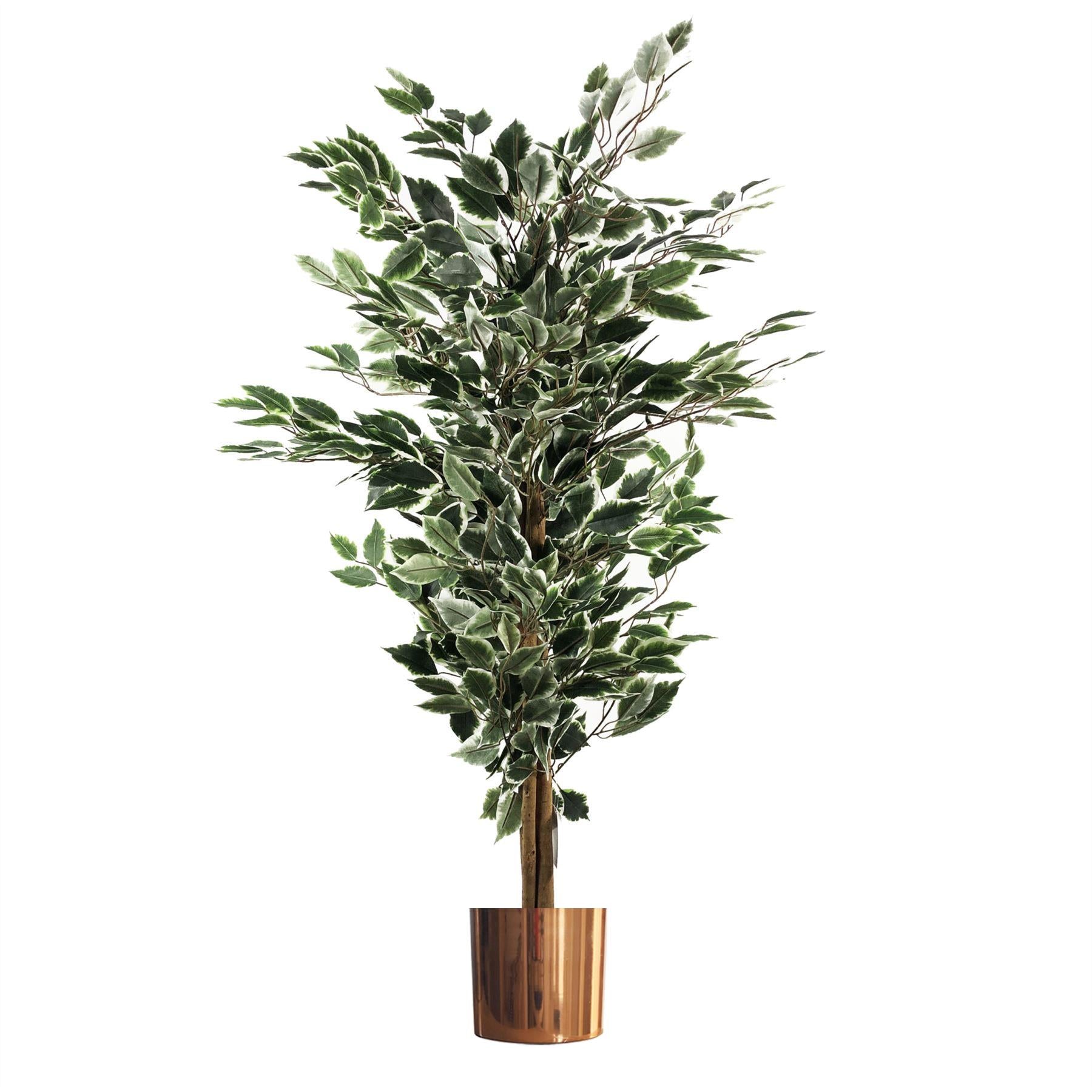130cm Artificial Tall Variegated WhiteandGreen Bushy Ficus Tree