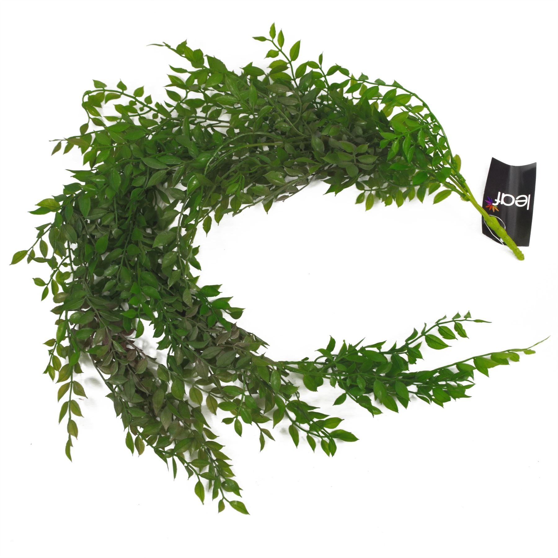 100cm Artificial Hanging String of Pearls Fern Plant