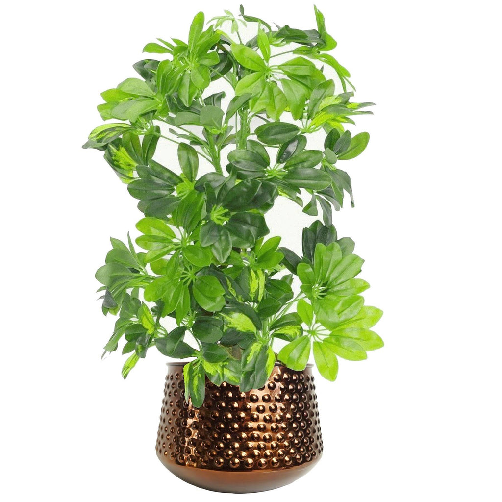 18cm Antique Copper Metal Planter by Botanik - Premium Quality