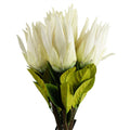 Artificial Pack of 6 x 65cm Protea Sugarbush Flower Stem - White - Premium Quality