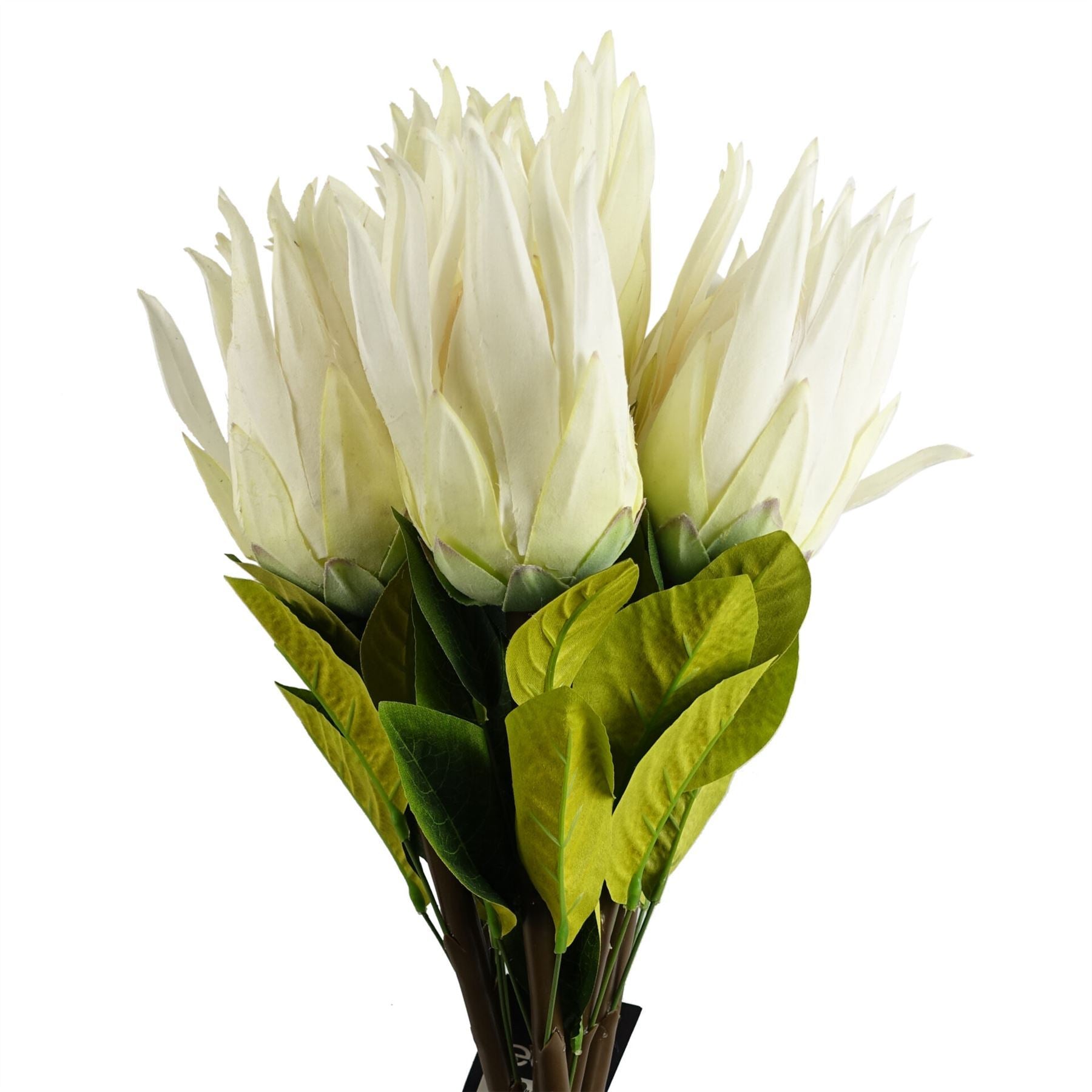 Artificial Pack of 6 x 65cm Protea Sugarbush Flower Stem - White - Premium Quality