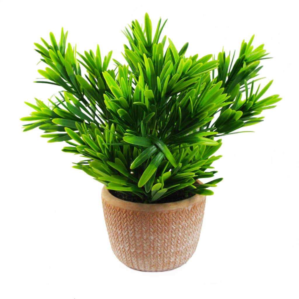 22cm Artificial Foliage Honey Plant Dark Green in Terracotta Pot