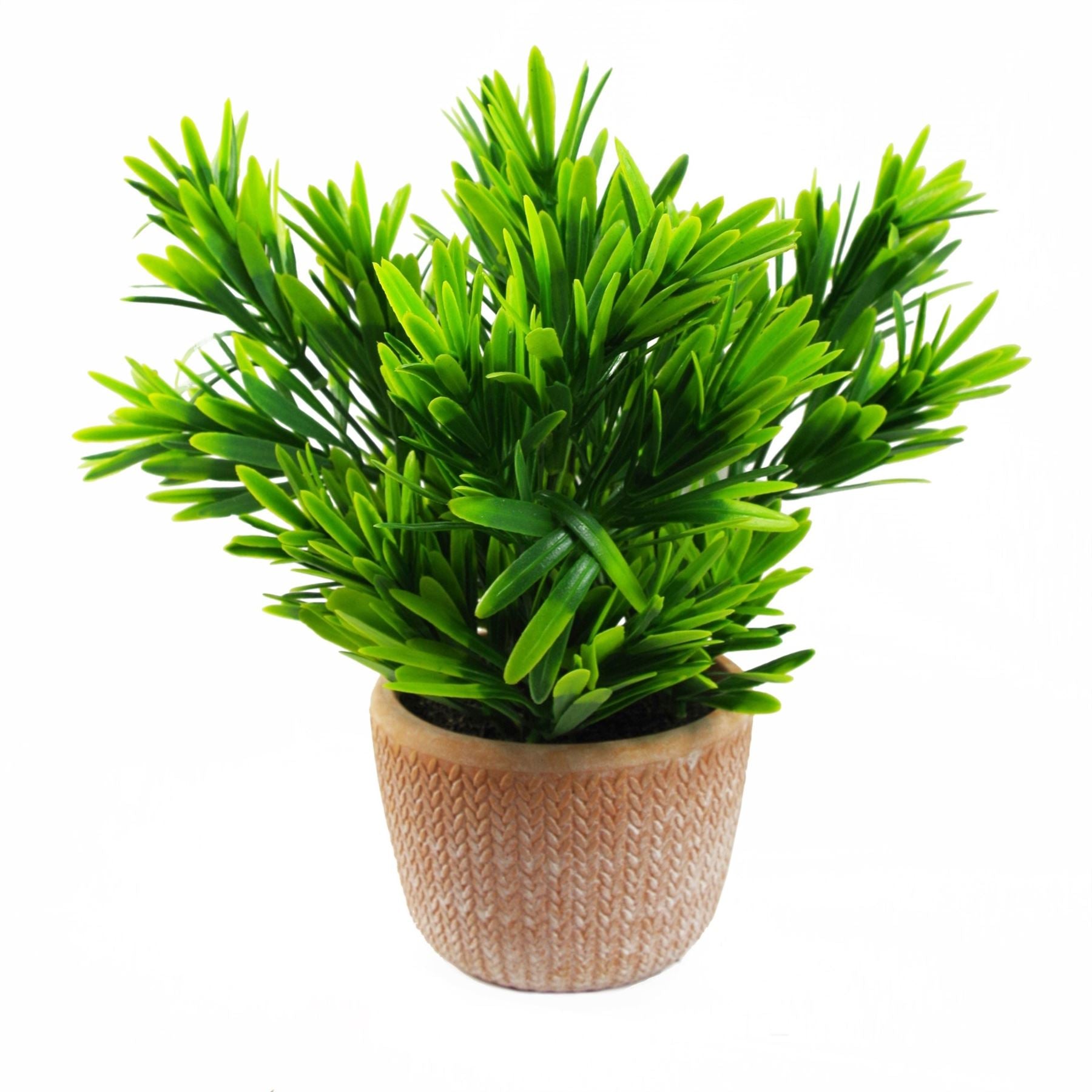 22cm Artificial Foliage Honey Plant Dark Green in Terracotta Pot