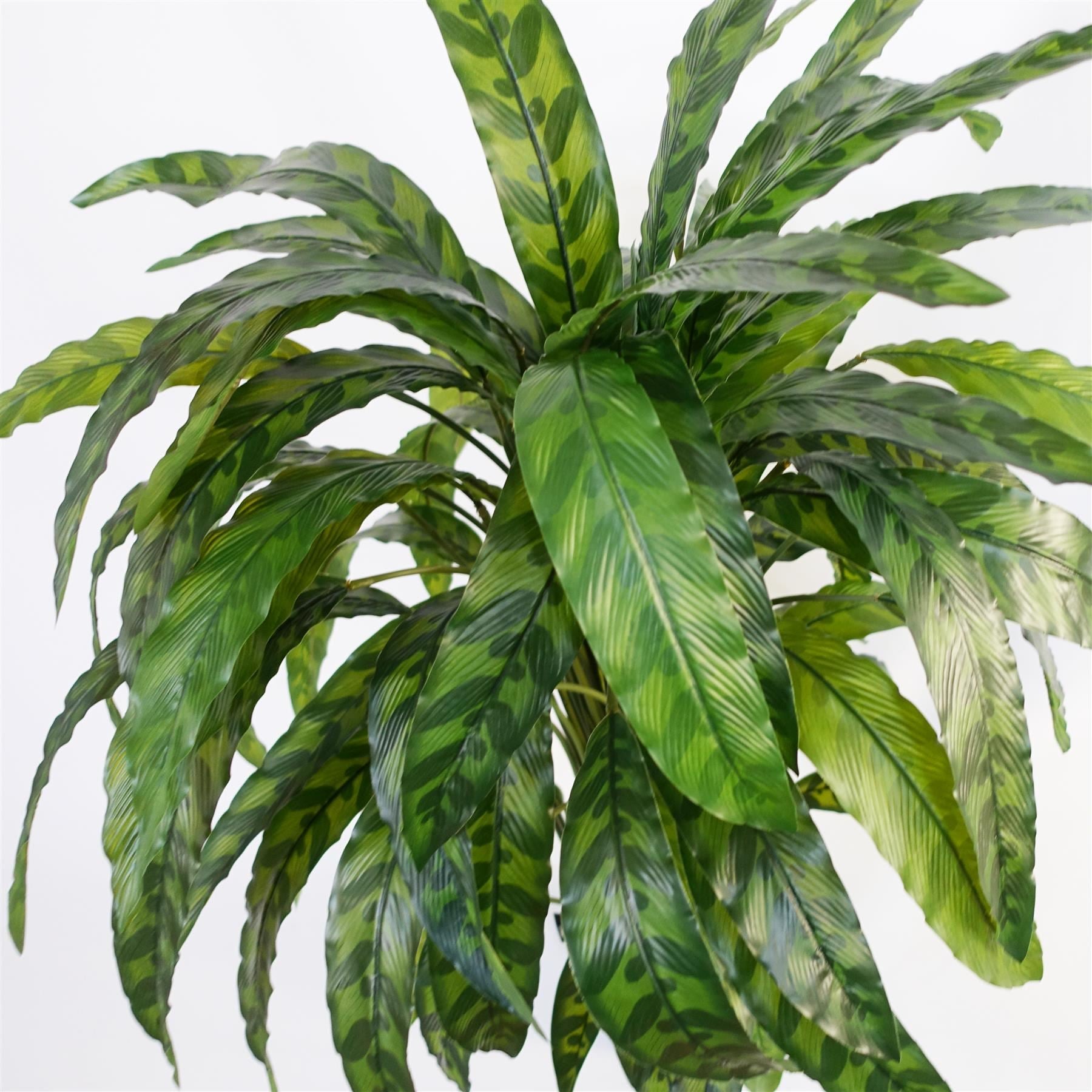 90cm Variegated Artificial Calathea Plant - Premium Quality