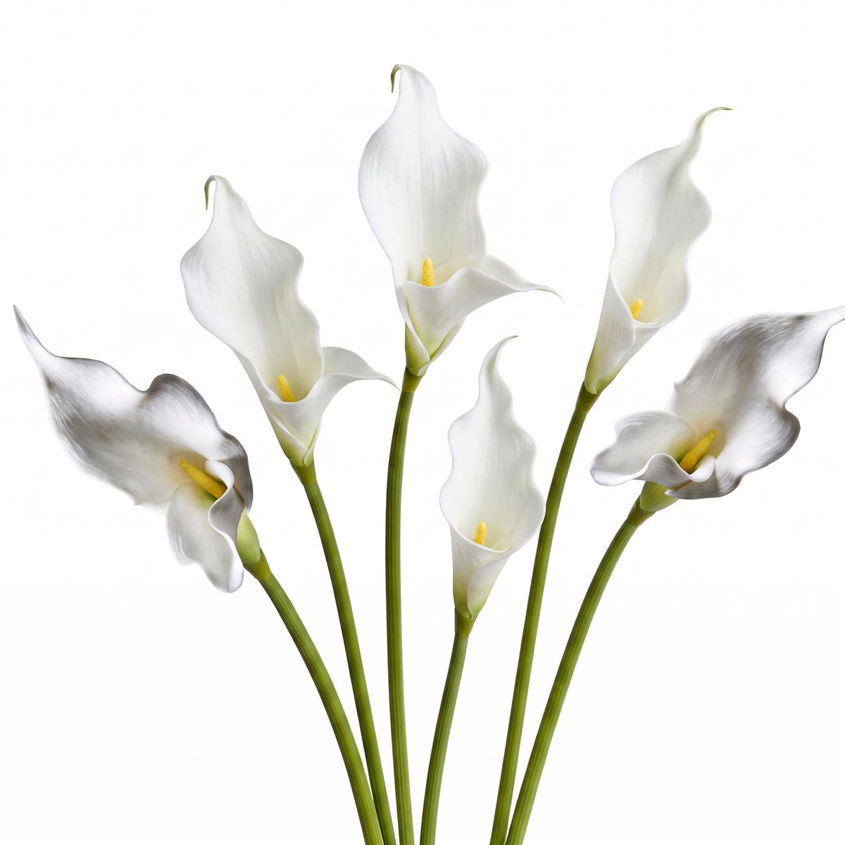Faux Calla Lily Stems, 70cm Single-Bloom Flowers - Set of 6