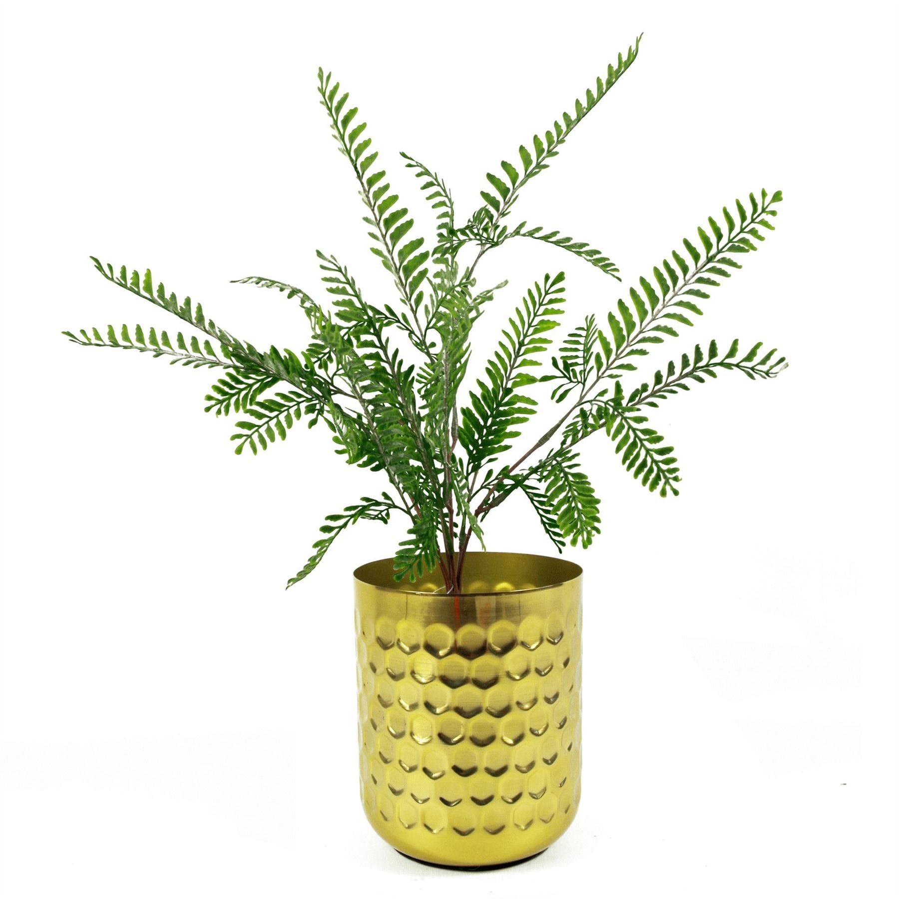 Artificial 6 x 55cm Himilayan Maidenhair Fern Bush Dark Green Plant - Premium Quality