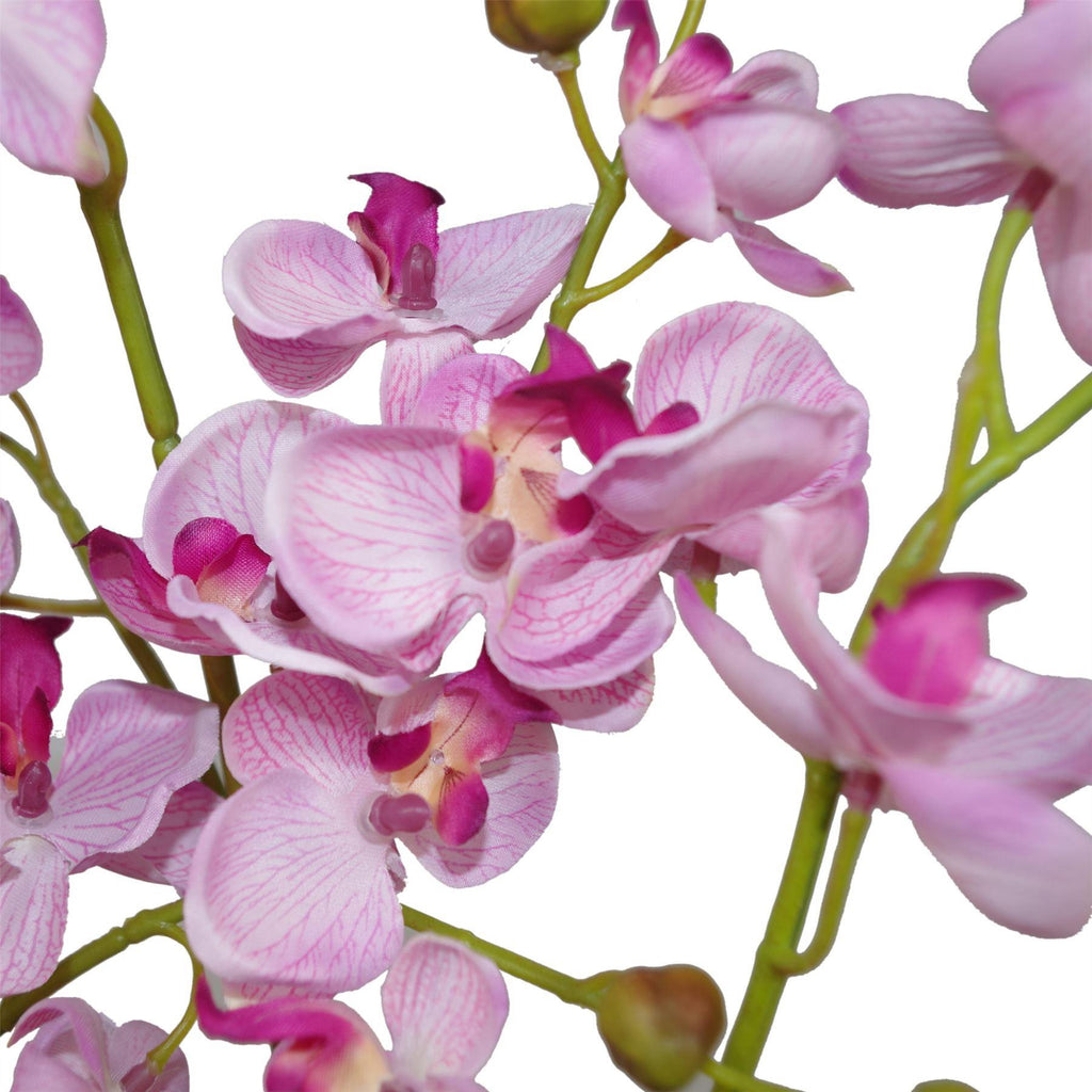 60cm Botanik Realistic Artificial Orchid Flower Display in Pot