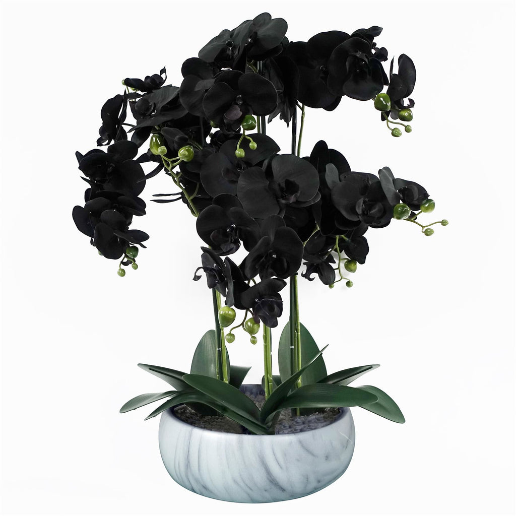 60cm Orchid Artificial Black - White Ceramic Planter - Premium Quality