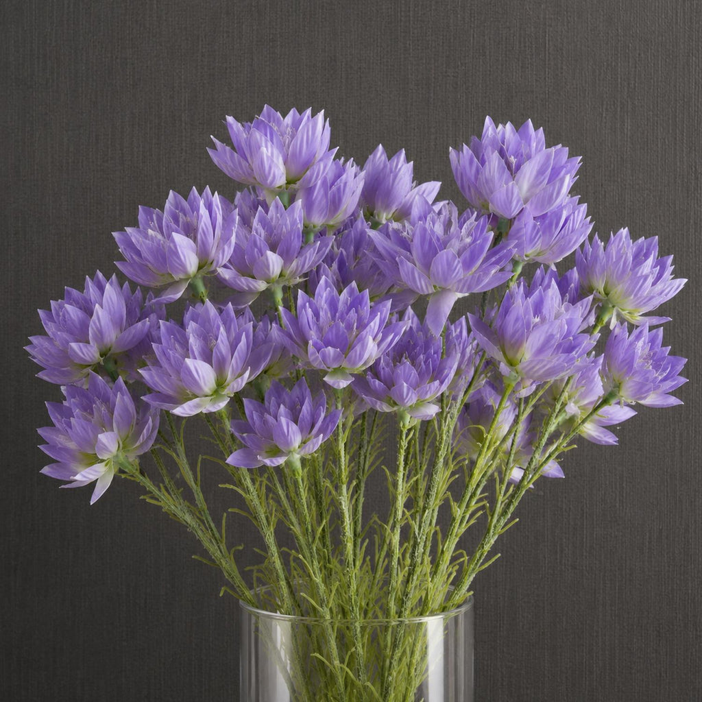 Pack of 6 x 60cm Purple Starflower Stem - 30 Flowers - Premium Quality