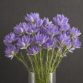 Pack of 6 x 60cm Purple Starflower Stem - 30 Flowers - Premium Quality