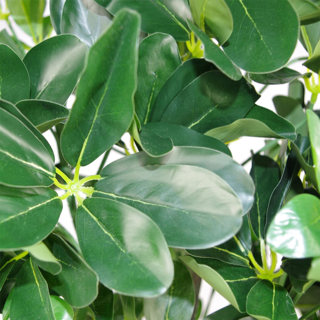95cm Umbrella Tree Dark Green Artificial Ficus Plant (image 4 of 5)