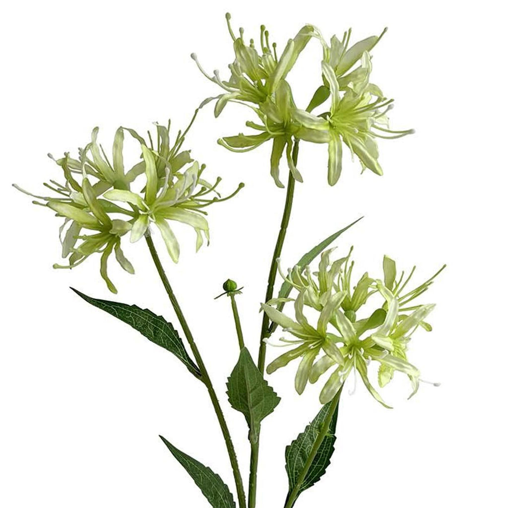 Faux Spider Lily Stems, 72cm with 3 Flower Heads - Set of 6