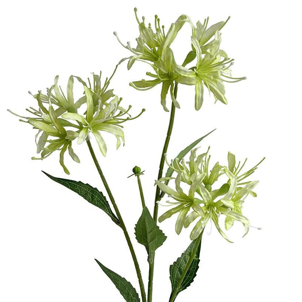 Faux Spider Lily Stems, 72cm with 3 Flower Heads - Set of 6