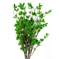 Artificial Pack of 6 x 100cm Mini Botanik Ficus Stem - Premium Quality