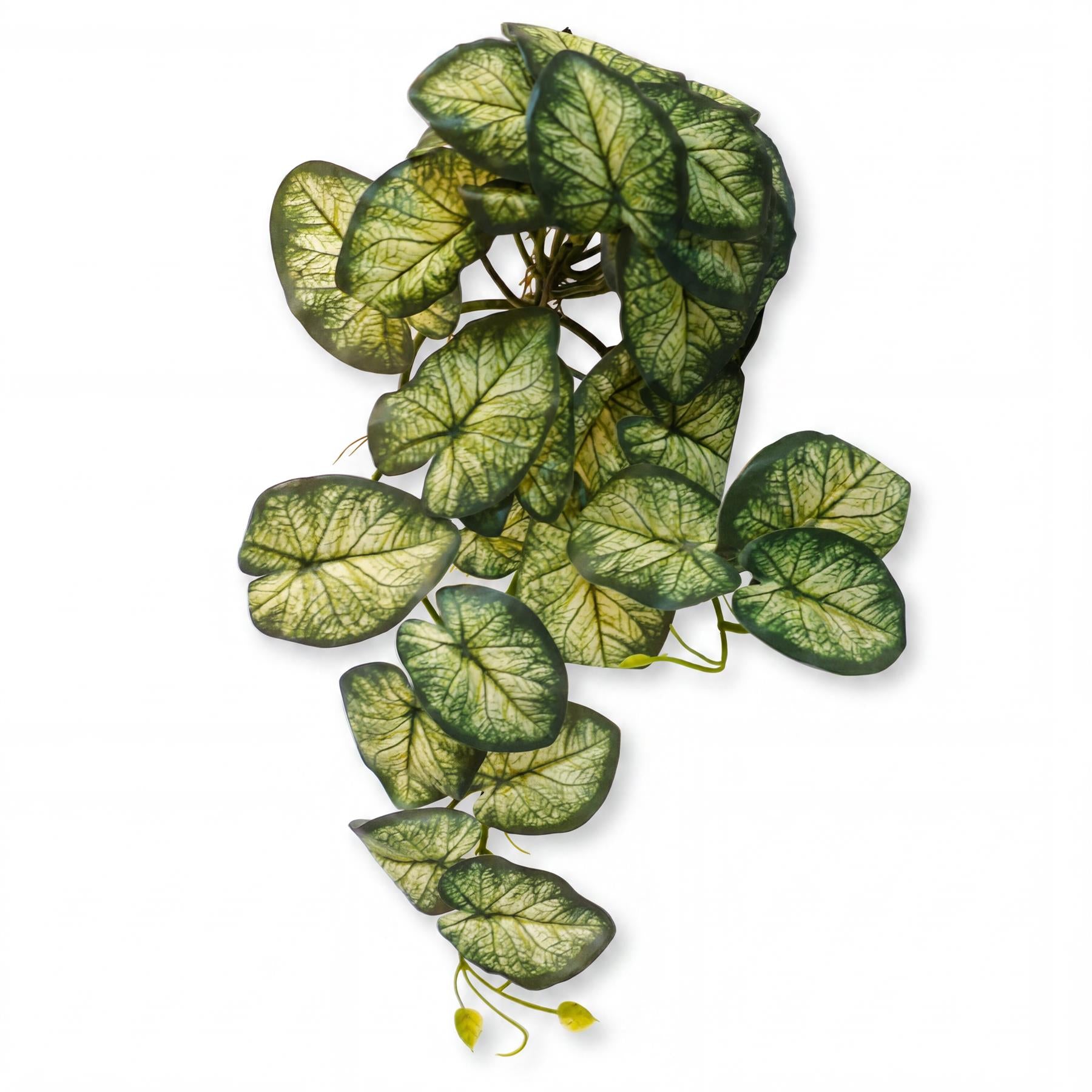 25cm Artificial Trailing Variegated Caladium Vine Plant Dark Green - Premium Quality