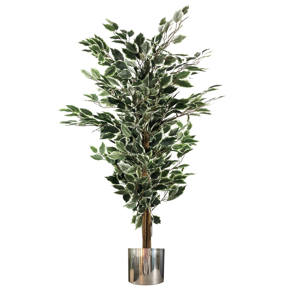 130cm Artificial Tall Variegated White and Green Bushy Ficus Tree