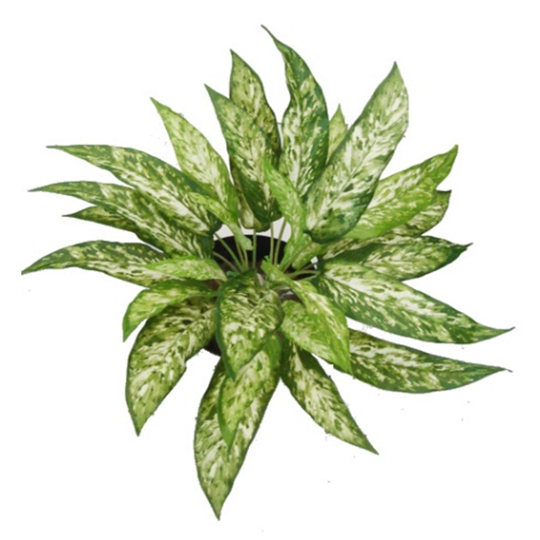 Pack of 6 x 45cm Fire Retardant Artificial Aglaonema Bush - Premium Quality