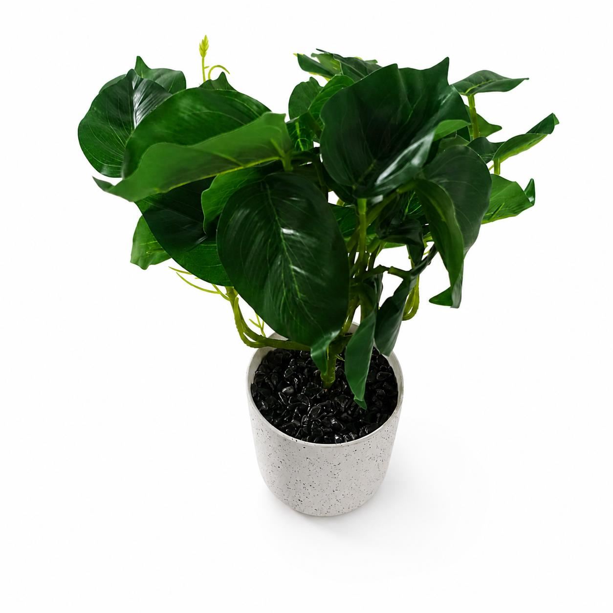 30cm Artificial Mini Pothos in Decorative White Pot - Premium Quality