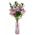 100cm Artificial Pink Lily Flower Arrangement Glass Vase - Premium Quality