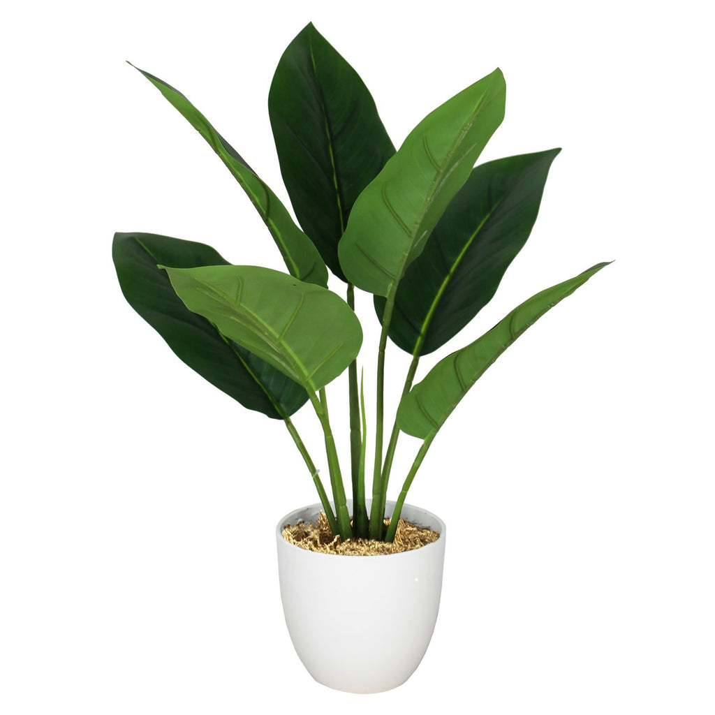 45cm Artificial Aureum Plant - Premium Quality