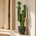 75cm Premium Artificial Cactus with pot
